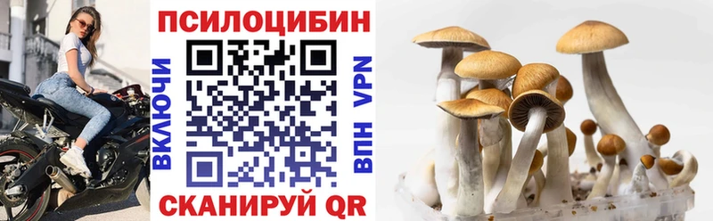 Галлюциногенные грибы Psilocybine cubensis Лахденпохья