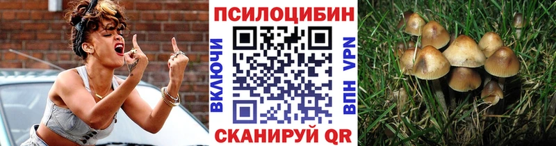 как найти   Лахденпохья  Галлюциногенные грибы GOLDEN TEACHER 